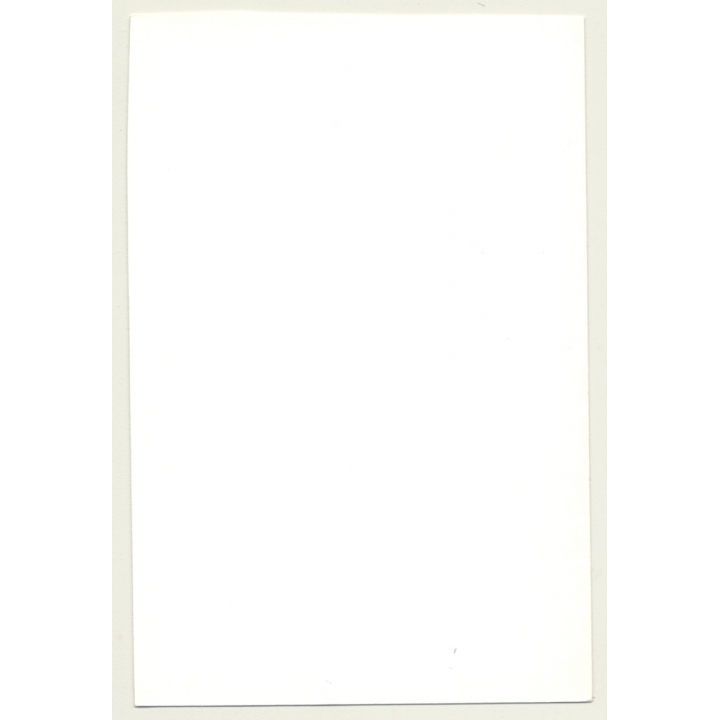 Brunette Nude In Front Of South Seas Photo Wallpaper*3 / Hairy Armpits (Vintage Photo GDR 1980s)