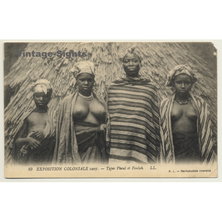 Exposition Coloniale 1907: Types Pheul Et Foulah / Semi Nude - Ethnic (Vintage PC)