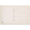Kolding / Denmark: Saxildhus Conditori - Bakery Counter (Vintage PC)