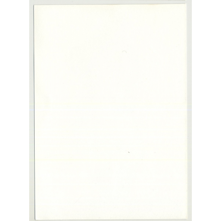 Nude Woman In Faux Fur Coat / Bush - High Boots - Small Breasts (Vintage Amateur Photo)