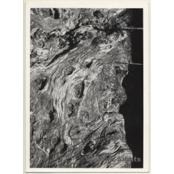 Foto Torres / Ibiza: Corteza De Arból *1 - Tree Bark (Vintage Photo  ~1970s)