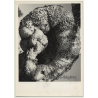 Foto Torres / Ibiza: Corteza De Arból *3 - Tree Bark (Vintage Photo  ~1970s)