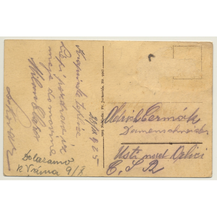 Krapinske Toplice / Croatia: View Over Village & Spa (Vintage PC 1925)