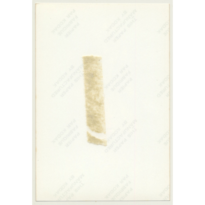 Busty Topless Blonde Female *4 / Pin-Up - Boobs (Vintage Photo Germany ~ 1980s)