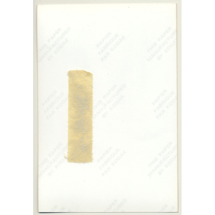 Busty Topless Blonde Female *5 / Pin-Up - Boobs (Vintage Photo Germany ~ 1980s)