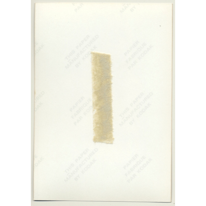 Busty Topless Blonde Female *6 / Pin-Up - Boobs (Vintage Photo Germany ~ 1980s)