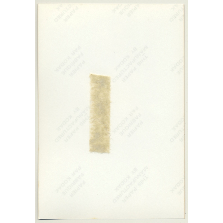 Busty Topless Blonde Female *8 / Pin-Up - Boobs (Vintage Photo Germany ~ 1980s)