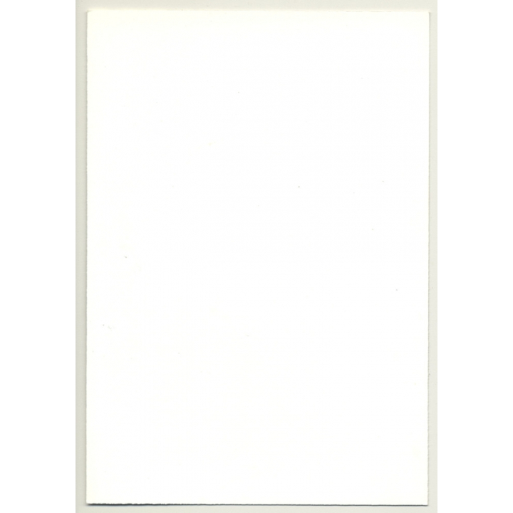 Tall Natural Nude / Suspenders - Hairy Armpits (Vintage Photo GDR ~1980s)