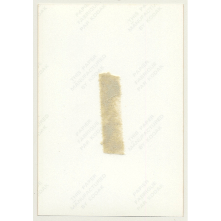 Busty Topless Blonde Female *10 / Pin-Up - Boobs (Vintage Photo Germany ~ 1980s)