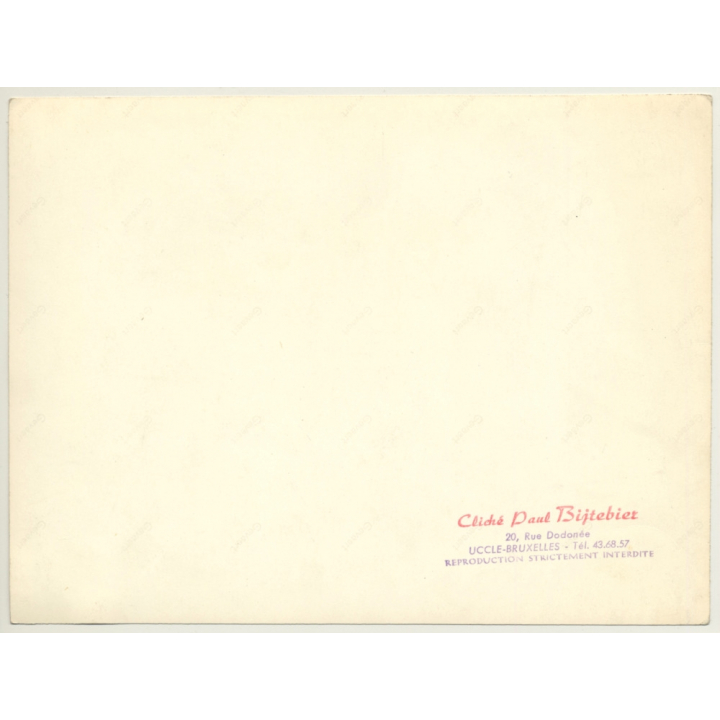 Salvador Dalí - The Temptation Of Saint Anthony (Vintage B/W Photo Paul Bijtebier ~1960s/1970s)