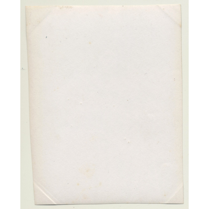 Lady In Victorian Dress Leans On Garden Sculpture (Vintage Photo ~1900s/1910s)