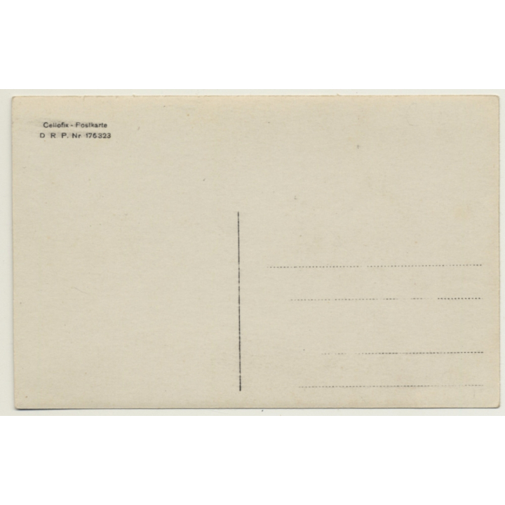 4 Geese On Meadow / Brent Goose (Vintage Cellofix RPPC ~1910s)