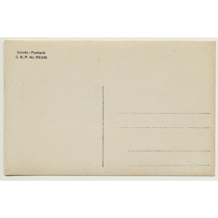 Chicken On Meadow / Hühner (Vintage Cellofix RPPC ~1910s)