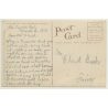 Los Angeles / USA: Pigeon Ranch - Taubenfarm (Vintage PC 1910)