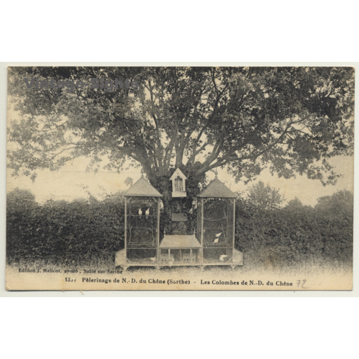 Les Colombes De N.-D. Du Chène / Pigeon Cages (Vintage PC ~1910s)