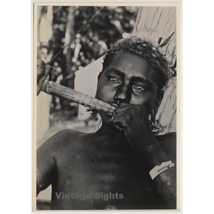 Africa: Indigenous Man W. Lots Of Piercings / Body Modifications (Vintage Photo 1940s/1950s)