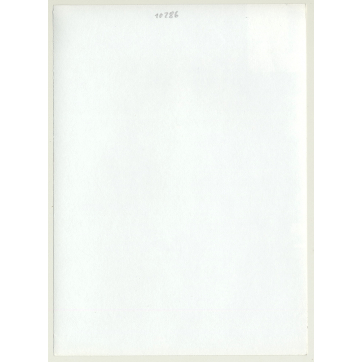 Tall Slim Shorthaired Woman Takes Off Top / Boobs (Vintage Photo GDR ~1970s)