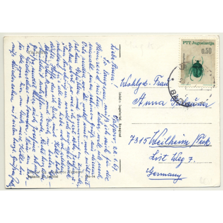 Valpovo / Croatia: Street View / Bicycles (Vintage RPPC 1967)