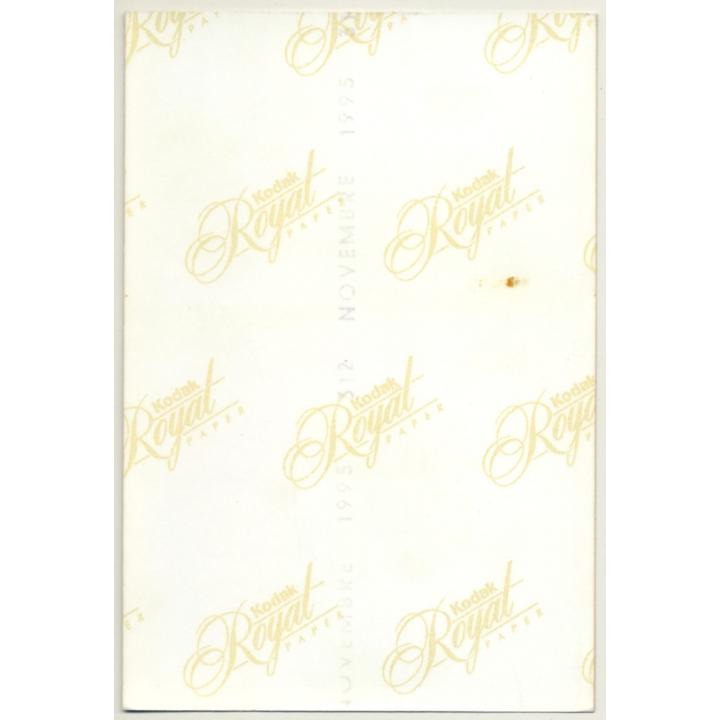 Pale Darkhaired Nude In Bathroom / Boobs (Vintage Photo France 1990s)