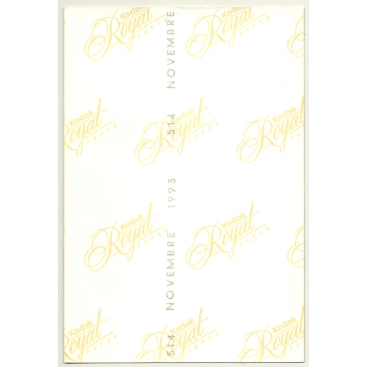 Skinny Blonde Nude Model With Beret / Stockings (Vintage Photo France 1990s)