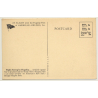 American Airlines: Flight Seeing Flagship Niagara Falls / Aviation (Vintage PC ~1950s)