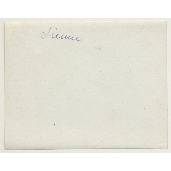 Sienna - Siena / Italy: Town View - Torre Del Mangia (Vintage Photo ~1920s)