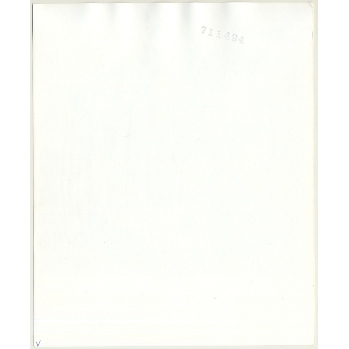 2 Brunette & Blonde Nudes On Flokati / Tan Lines - Lesbian INT (Vintage Photo Master B/W ~1970s)