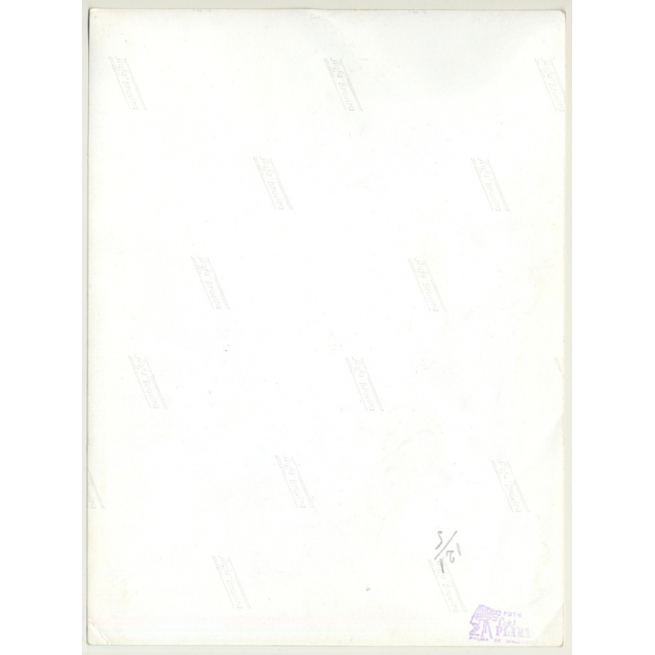 Mallorca Impressions: Higo Chumbo - Ficus Indica (Vintage Photo  ~1960s)