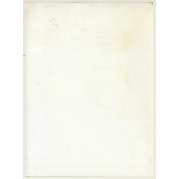 Mallorca Impressions: Corteza De Oliva / Olive Tree Bark (Vintage Photo  ~1960s)