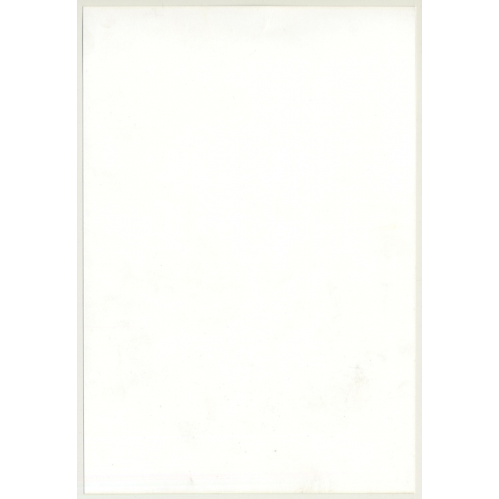 Rear View: Chubby Maid Makes The Bed / No Panties - Risqué (Vintage Photo ~1980s)