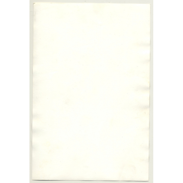 Natural Pretty Brunette Nude In Wicker Chair *9 / Boobs (Vintage Photo Germany ~ 1960s)