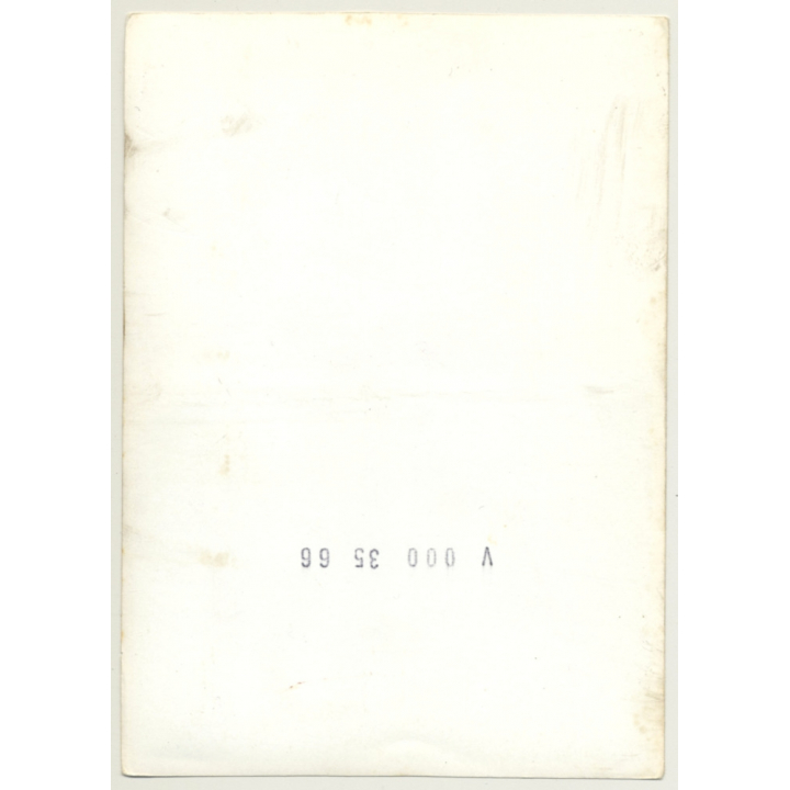 Perky Blonde Nude On Rocks / Small Boobs (Vintage Photo ~1960s/1970s)