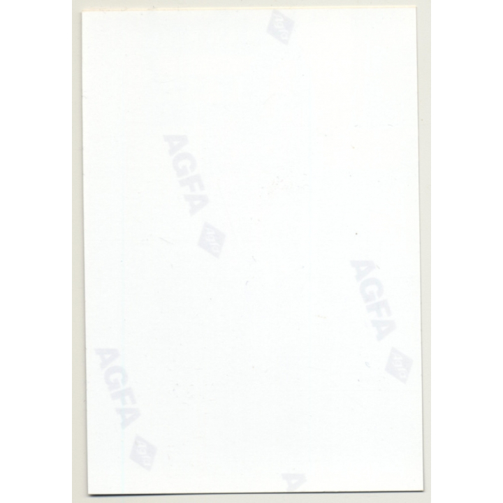 Slim Racy Brunette Nude In Lingerie / Plump Boobs (Vintage Photo Germany ~1980s)