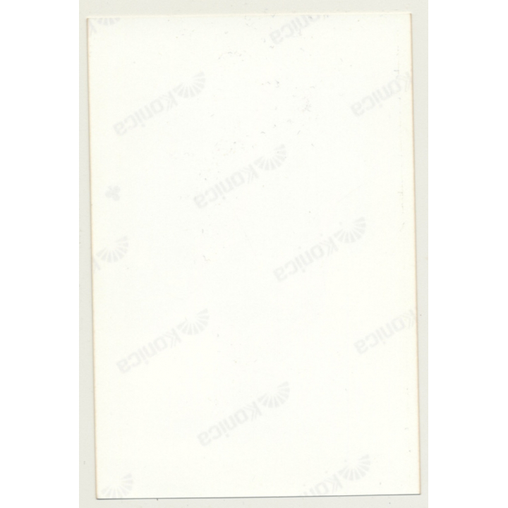 Racy Slim Semi Nude Secretary In Office / Legs (Vintage Photo Germany ~1980s)