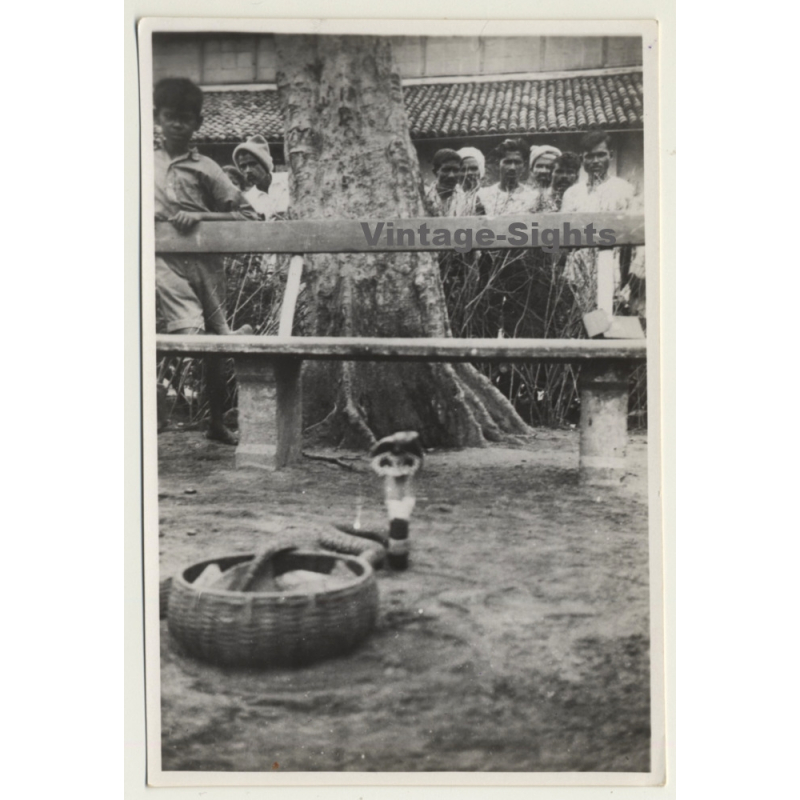 India: Snake Of Snake Charmer & Local People / Ethnic (Vintage Photo ~1930s)