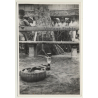 India: Snake Of Snake Charmer & Local People / Ethnic (Vintage Photo ~1930s)