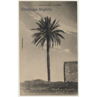 Kasbah-Tadla / Morocco: Le Palmier / Field Postmark Base Aérienne (Vintage PC 1941)