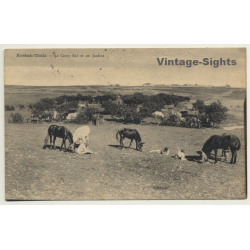 Kasbah-Tadla / Morocco: Le Camp Sud Et Ses Jardins / Field Postmark 2.Rég.Étranger (Vintage PC 1939)