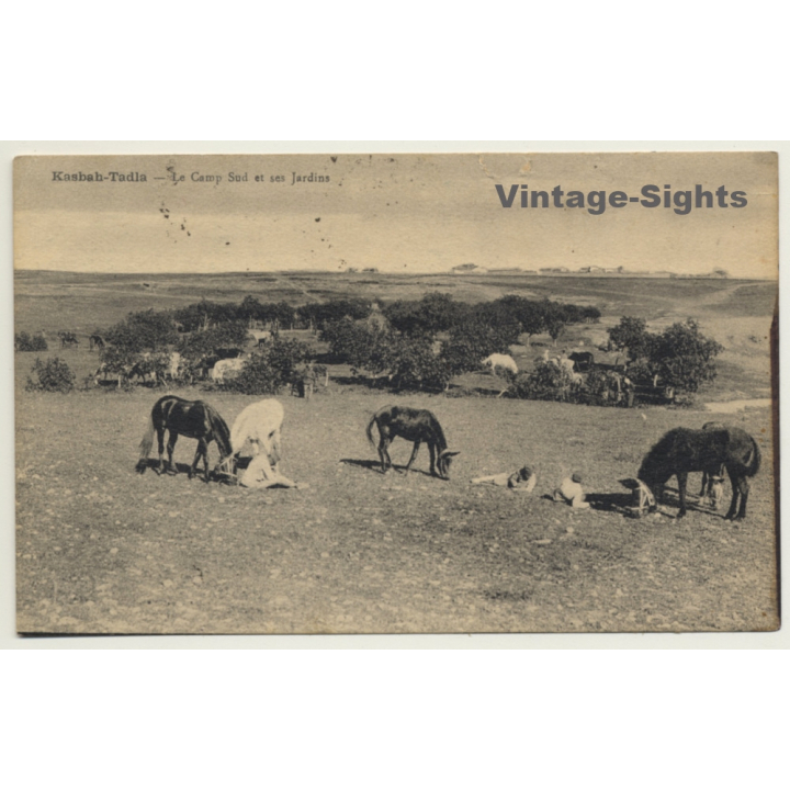 Kasbah-Tadla / Morocco: Le Camp Sud Et Ses Jardins / Field Postmark 2.Rég.Étranger (Vintage PC 1939)