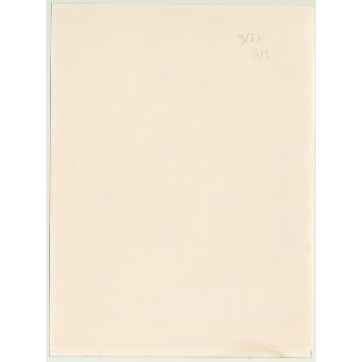 Rear View: Semi Nude Maid W. Whip / Butt - BDSM (Vintage Photo ~1980s)