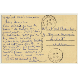Marrakesh: La Palmeraie / Cluster Of Palmtrees - Camels (Vintage PC 1941)