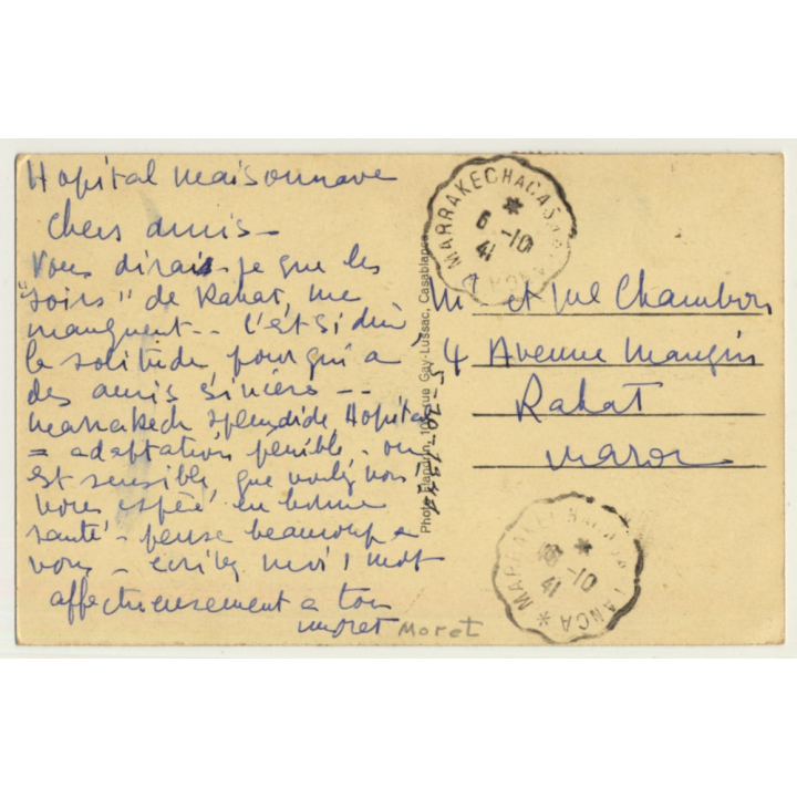 Marrakesh: La Palmeraie / Cluster Of Palmtrees - Camels (Vintage PC 1941)