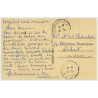 Marrakesh: La Palmeraie / Cluster Of Palmtrees - Camels (Vintage PC 1941)