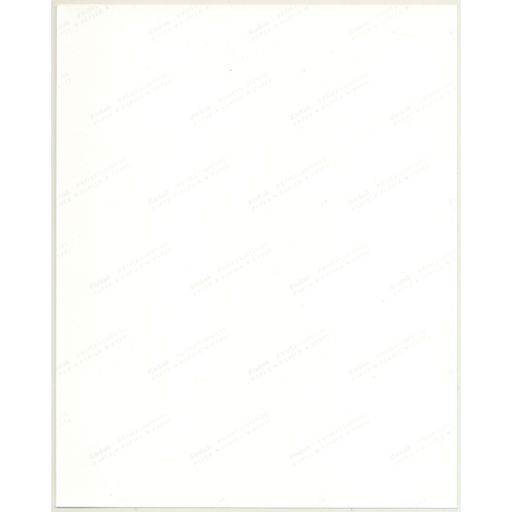 Pretty Female Model *4 / Hairstyle - Dress (Vintage Fashion Photo: Wolfgang Klein 1980s DIN A4+)