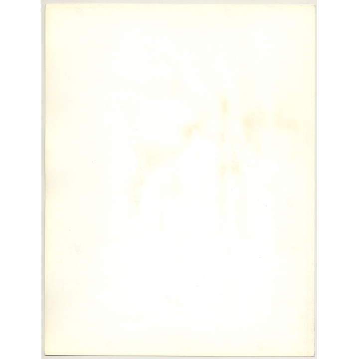 Blonde Female Model *2 / Hairstyle (Vintage Fashion Photo: Wolfgang Klein 1980s DIN A4+)