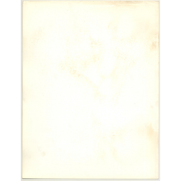 Blonde Female Model *3 / Hairstyle (Vintage Fashion Photo: Wolfgang Klein 1980s DIN A4+)