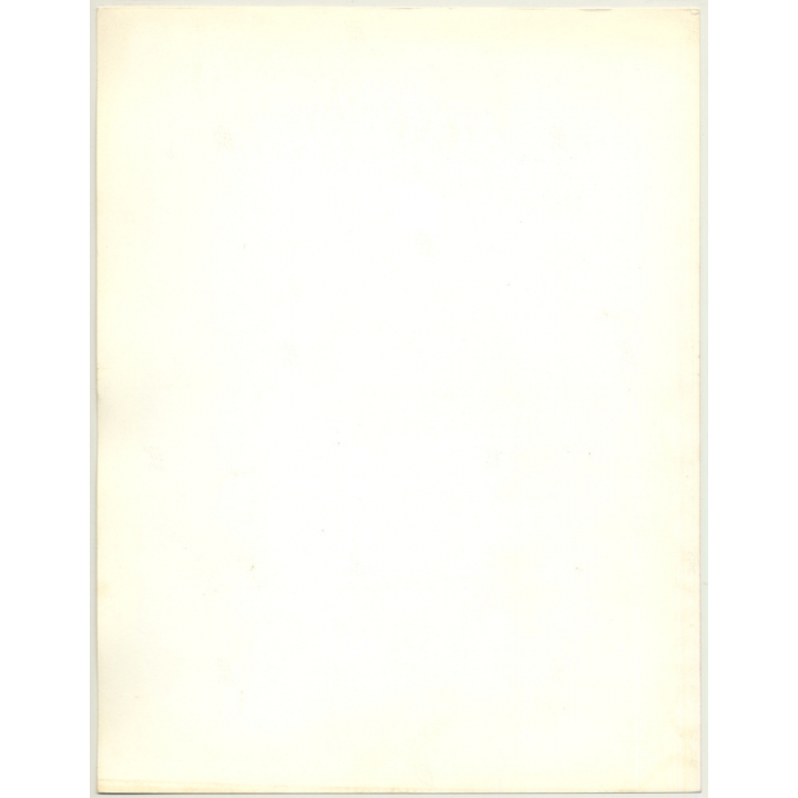 Blonde Female Model *4 / Hairstyle (Vintage Fashion Photo: Wolfgang Klein 1980s DIN A4+)