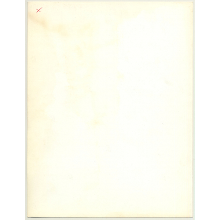 Portrait: Female Fashion Model *1 / Hairstyle (Vintage Photo: Wolfgang Klein 1980s DIN A4+)