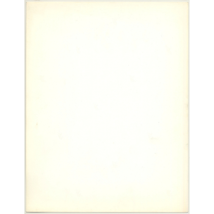 Portrait: Female Fashion Model *2 / Hairstyle (Vintage Photo: Wolfgang Klein 1980s DIN A4+)