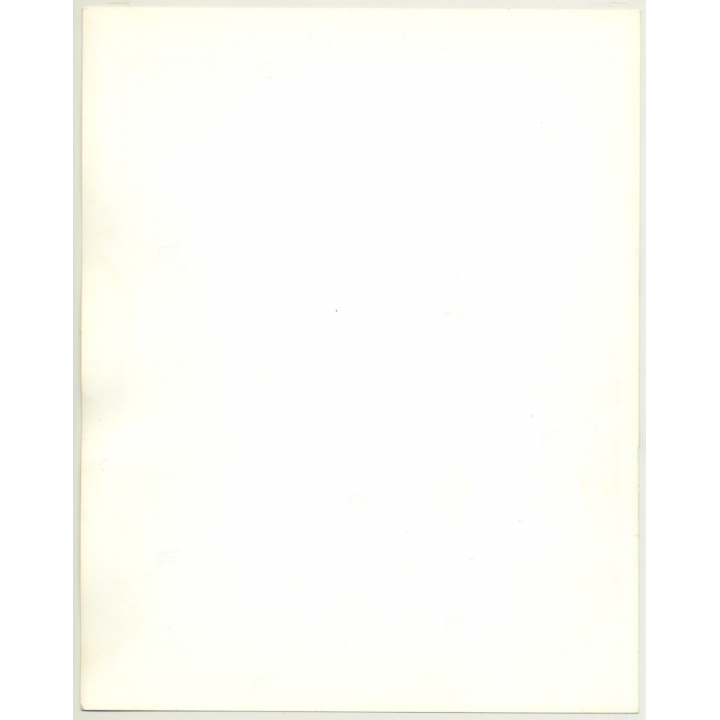 Portrait: Female Fashion Model *3 / Hairstyle (Vintage Photo: Wolfgang Klein 1980s DIN A4+)